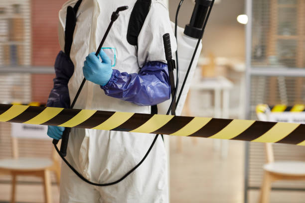 Professional Sewage Cleanup technician working in Hanover, MA